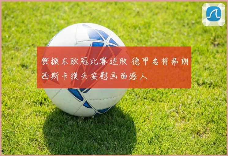 樊振东欧冠比赛连败 德甲名将弗朗西斯卡摸头安慰画面感人